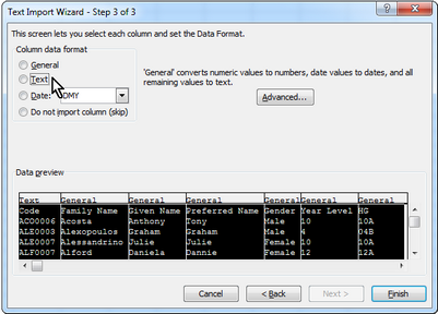 CSV ExcelWizard3