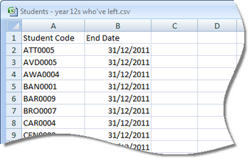 CSV ImportBulkExcel