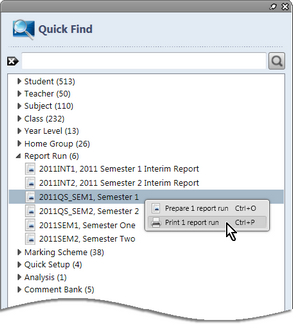 SRP QFReportRunMenu