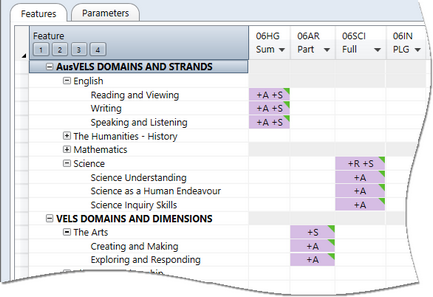 The report type of the subject will restrict the selections of A, S and R that may be made in each cell